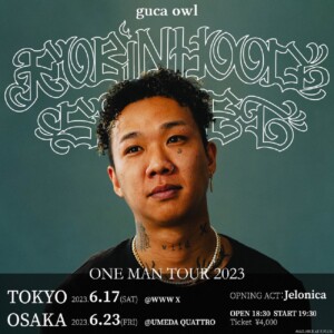 guca owl レコード 希少 guca owl ROBIN HOOD STREET＜数量限定CD盤＞ CD : タワーレコード